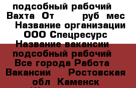 подсобный рабочий . Вахта. От 30 000 руб./мес. › Название организации ­ ООО Спецресурс › Название вакансии ­ подсобный рабочий - Все города Работа » Вакансии   . Ростовская обл.,Каменск-Шахтинский г.